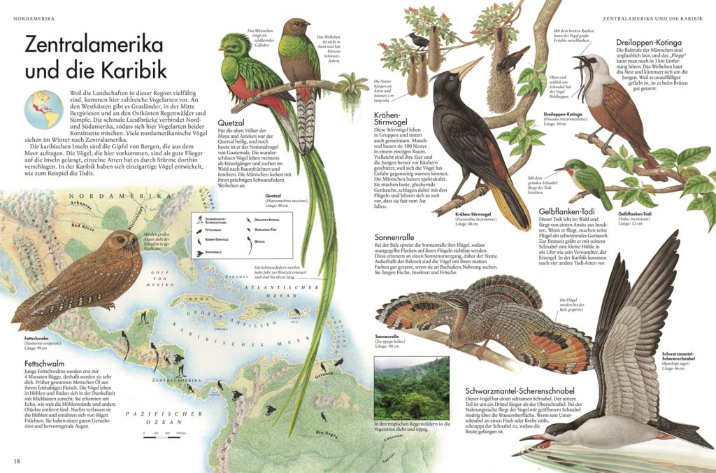 Atlas der Vögel - Eine Reise zu den faszinierendsten Vögeln der Erde