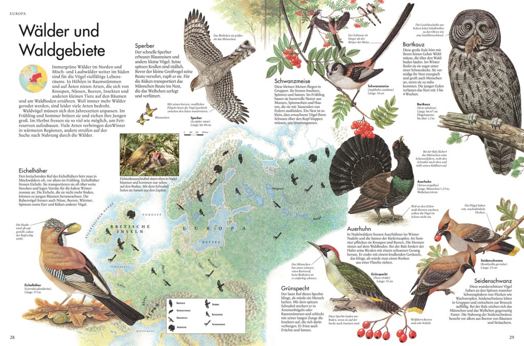 Atlas der Vögel - Eine Reise zu den faszinierendsten Vögeln der Erde