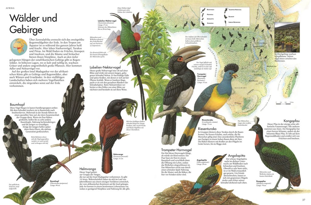 Atlas der Vögel - Eine Reise zu den faszinierendsten Vögeln der Erde