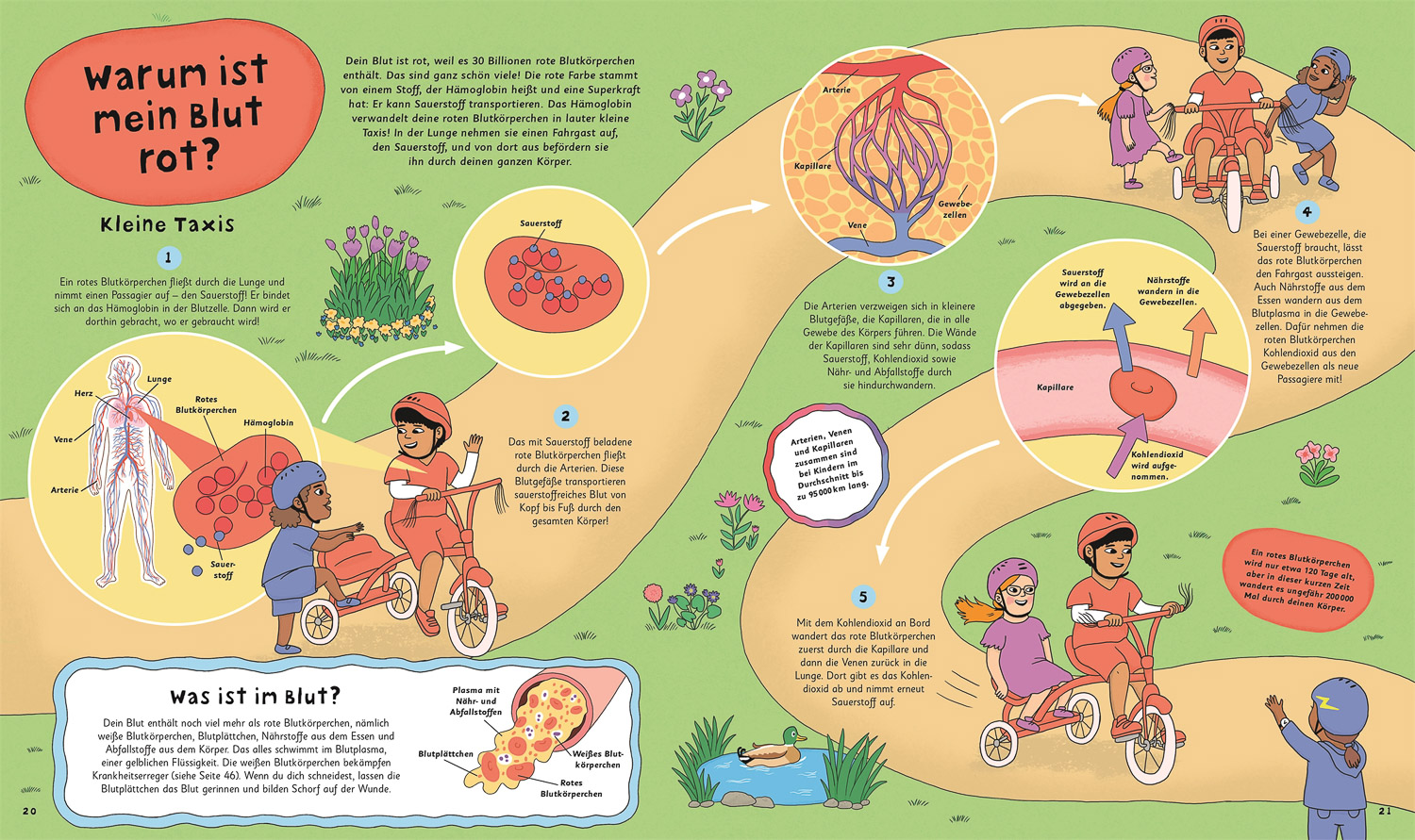 Wie kommt der Popel in die Nase?